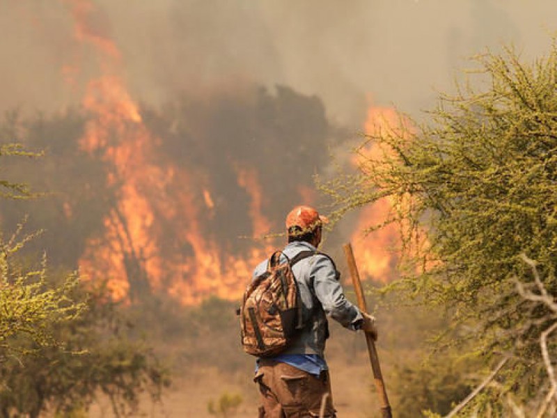 Disminuyen 30% incendios y aumenta número de combatientes