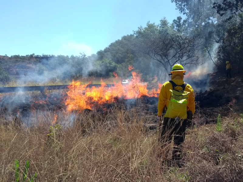 Disminuyen 76% los incendios en Nayarit, cuarentena influye.