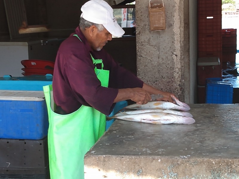 Disminuyen especies marinas en Tuxpan, por sobreexplotación pesquera