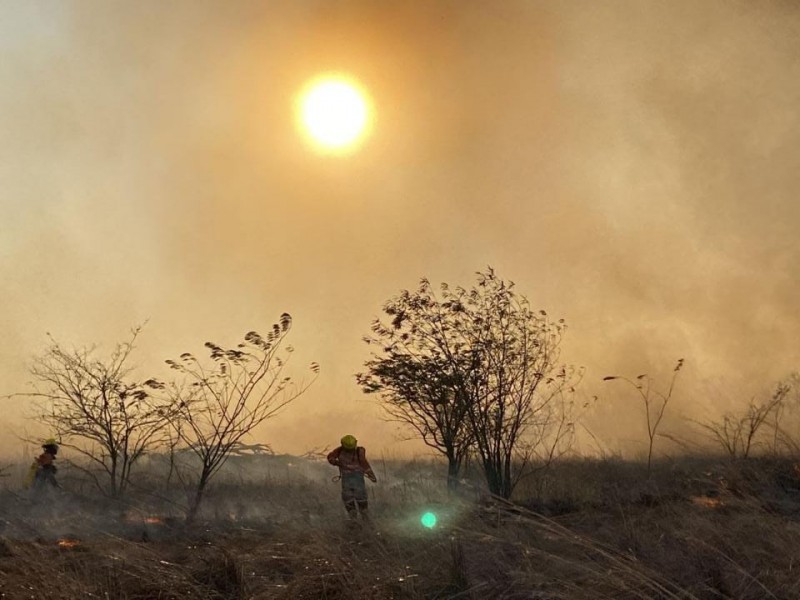 Disminuyen incendios con acompañamiento en quemas controladas