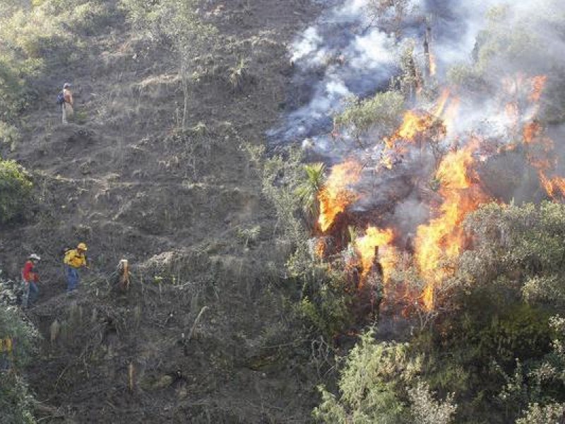 Disminuyen incendios forestales en 2020 en Querétaro