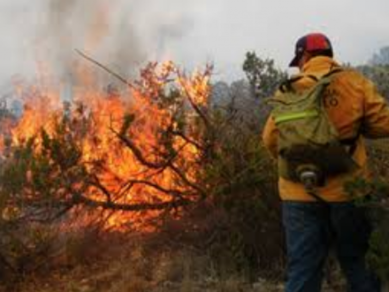 Disminuyen incendios forestales en comparación con 2019 en Chiapas