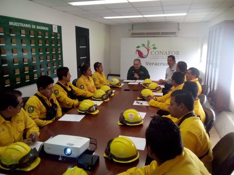 Disminuyen incendios forestales en Veracruz