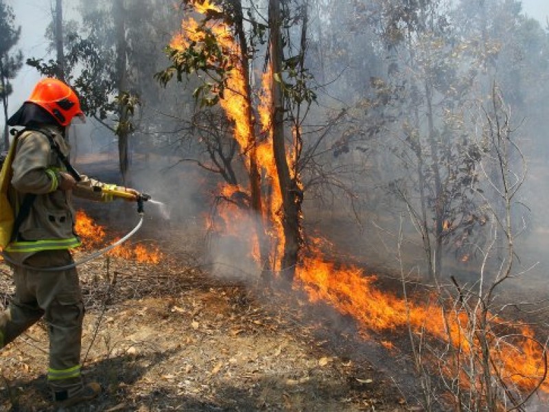 Disminuyen incendios forestales, quedan 3 activos: PC
