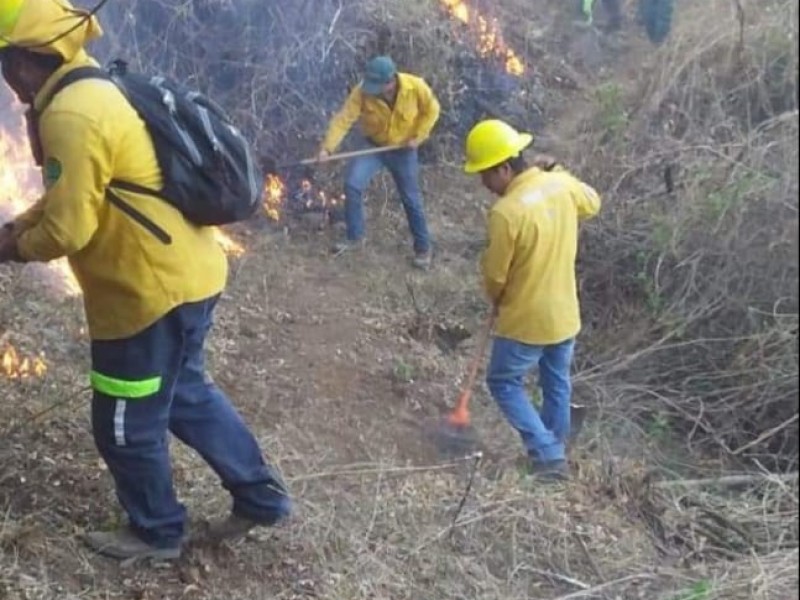 Disminuyeron afectaciones por incendios forestales en EDOMEX