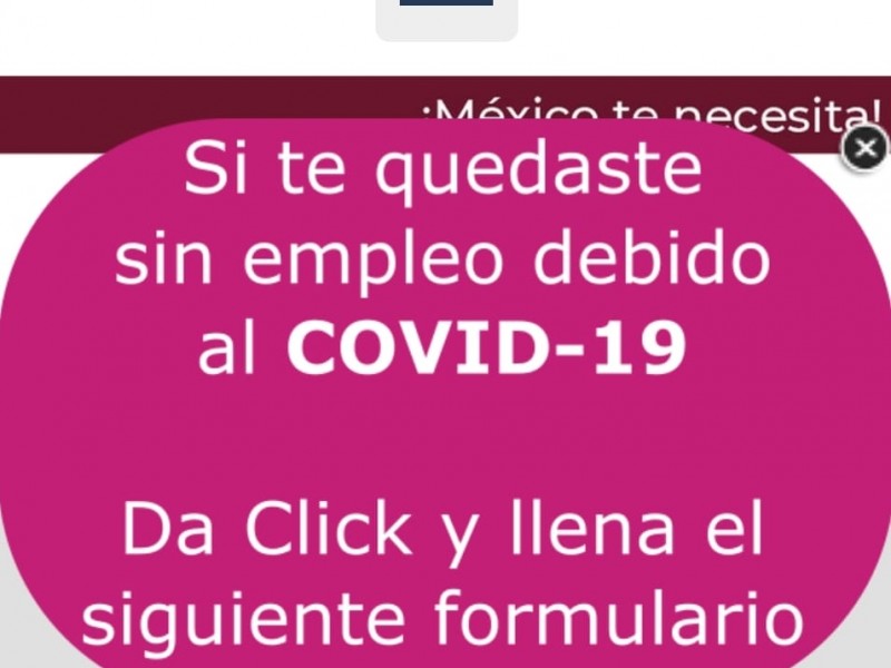 Disponen de formulario digital para localizar a desempleados por COVID-19