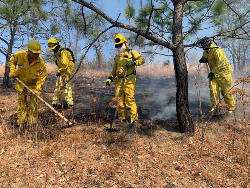 Disponibles dos helicópteros para combatir incendios en Michoacán