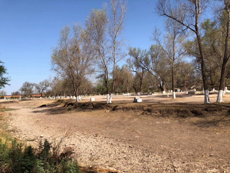 Distrito de Riego 038 busca regresarle vida al Rio Mayo