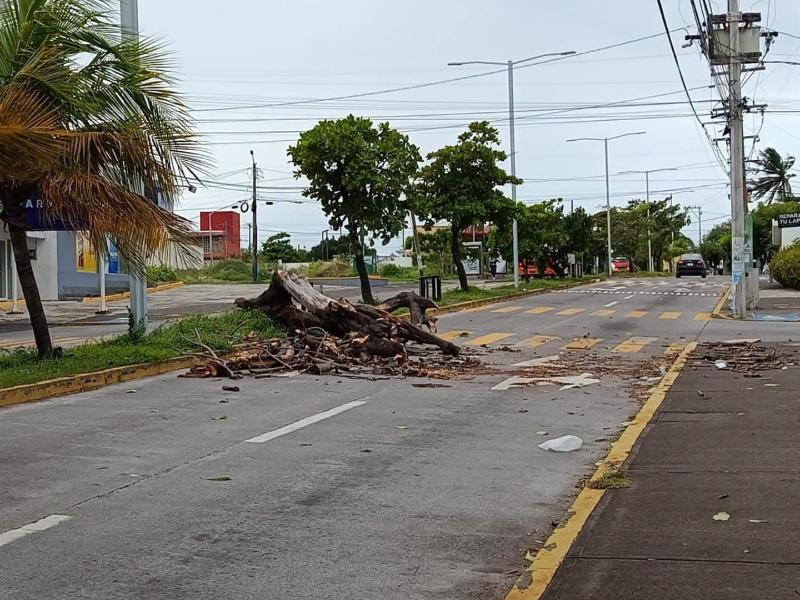 Diversas colonias continúan sin luz tras evento de norte