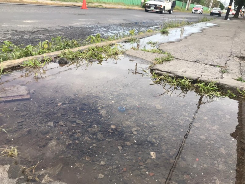 Doble fuga de agua potable en avenida Raz y Guzmán