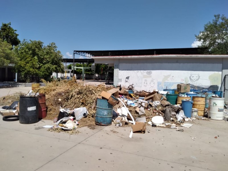 Aseveran maestros de secundaria que escuela es un desastre