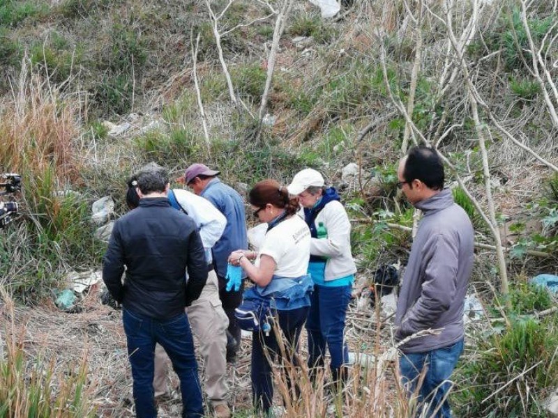 Documental sobre trabajo de Colectivo Solecito Veracruz nominado al Emmy