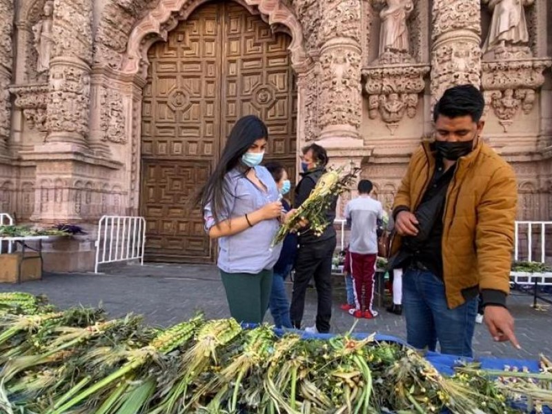 Domingo de ramos en Zacatecas
