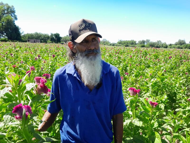 Don Efraín mantiene viva la tradición de la flor pese a inundaciones