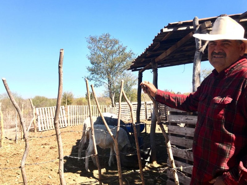 Don Jesús,ganadero por vocación sufre la falta de apoyos económicos