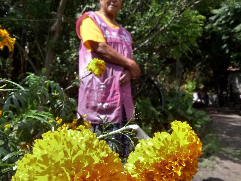 Doña Dolores: 4 décadas de cultivar cempasúchil