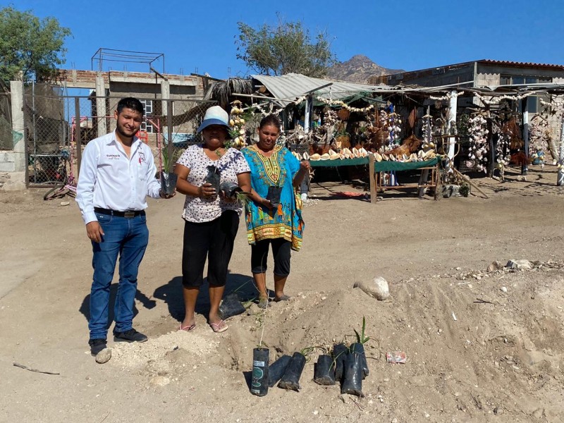 Dona Ecología plantas a Santa Clara y las Guásimas