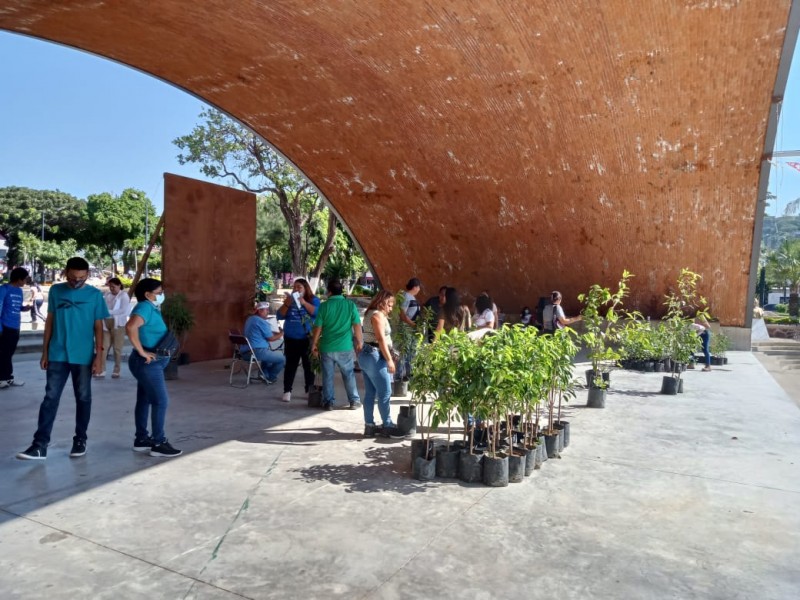 Donan más de 200 plantas a ciudadanos