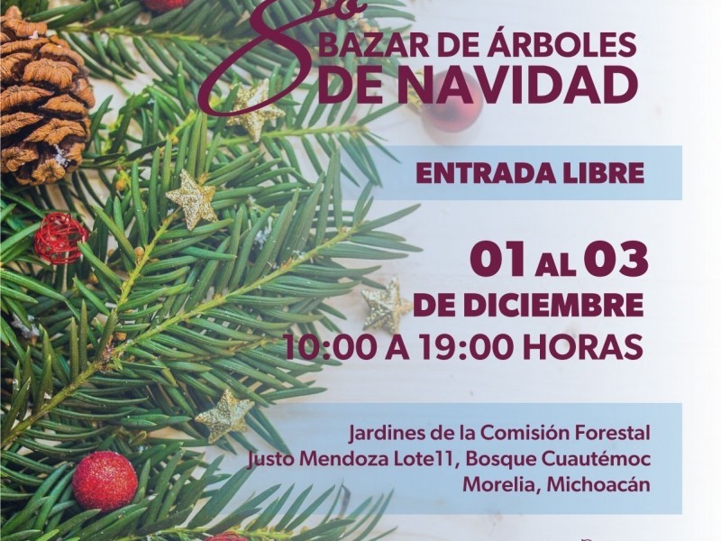 ¿Dónde comprar tu árbol de Navidad natural? anuncian tradicional bazar