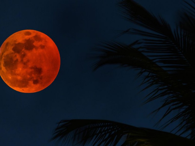 ¿Dónde y cómo disfrutar del último eclipse lunar del 2021?