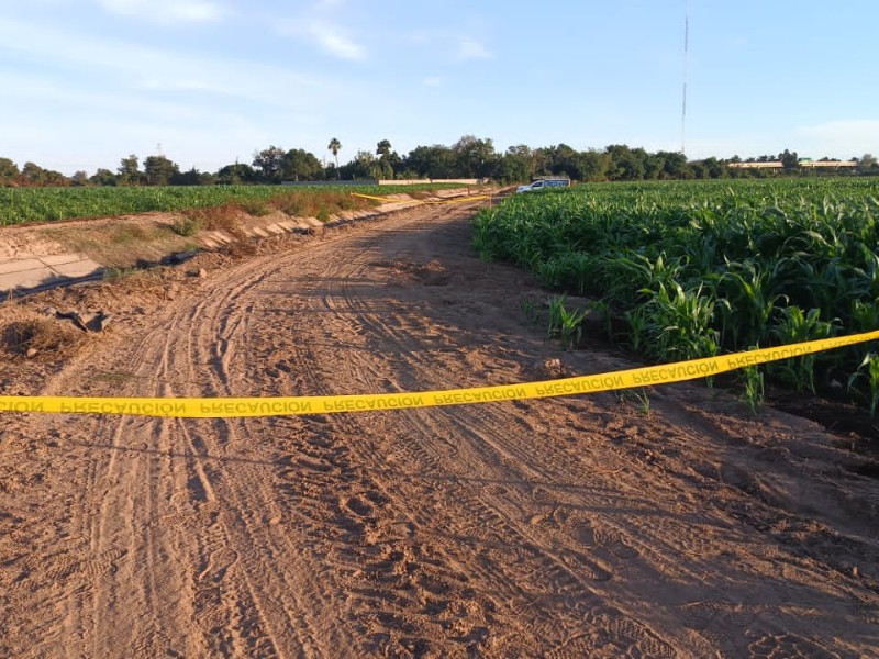 Dos asesinatos y hallazgo de restos óseos, saldo de este domingo