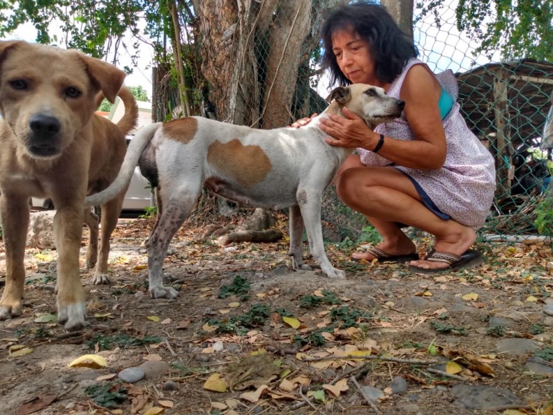 Dos Callejeritos En Busca de un  Hogar