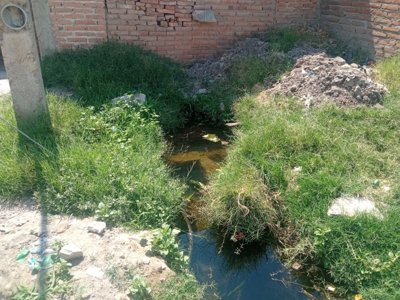 Dos denuncias en la misma zona en la Juan Lira