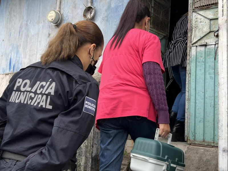 Dos detenidos por violencia familiar durante semana santa