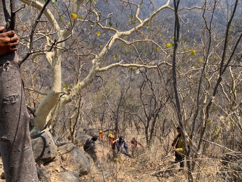 Dos incendios forestales en Sonora continúan activos
