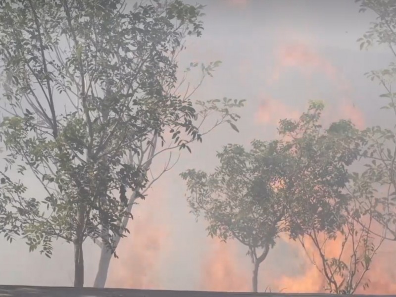 Dos incendios son atendidos al día reporta Bomberos Nayarit