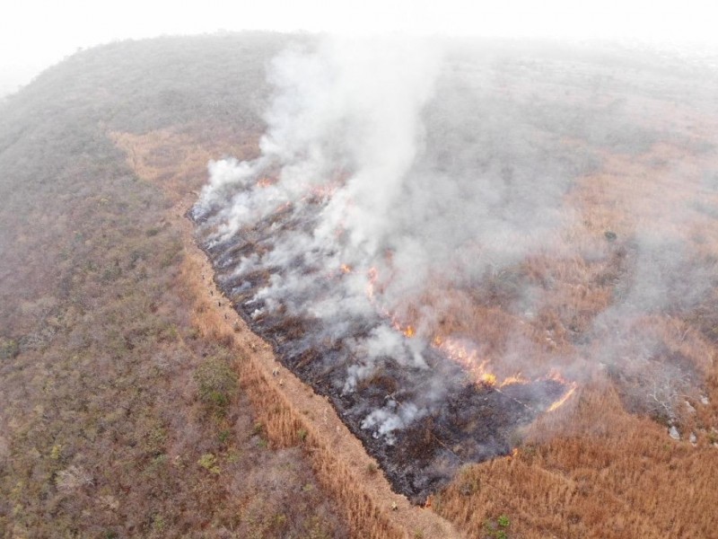 2 mil hectáreas han consumido los incendios en Chiapas
