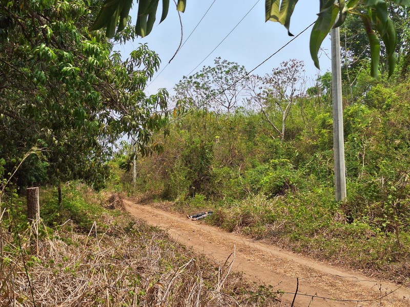 Dos muertos son encontrados en terracería de Lagartero, Tapachula