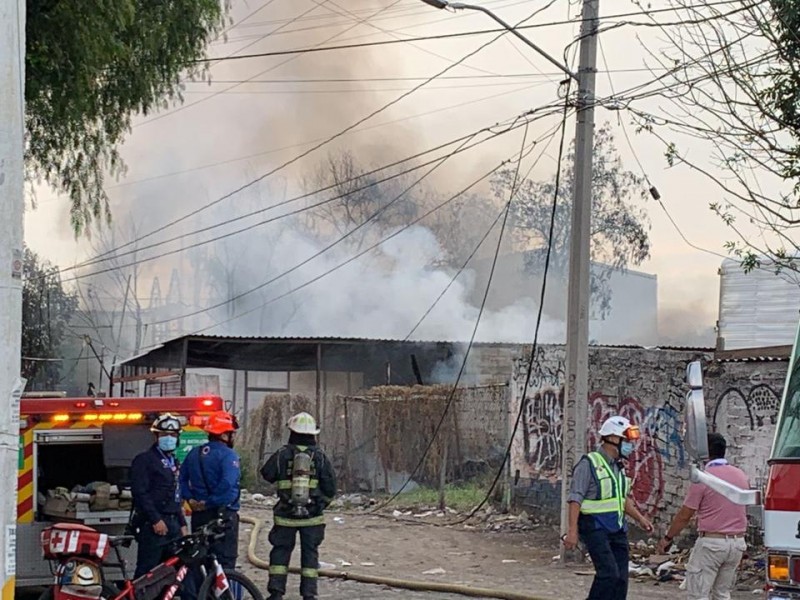 Dos perros muertos y 6 vehículos quemados tras incendio