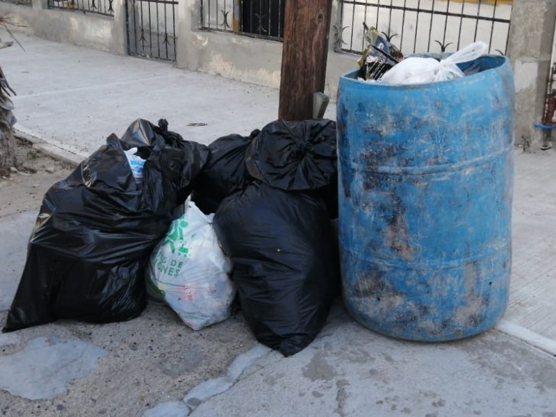 Dos semanas sin recolección de basura en la colonia Centro