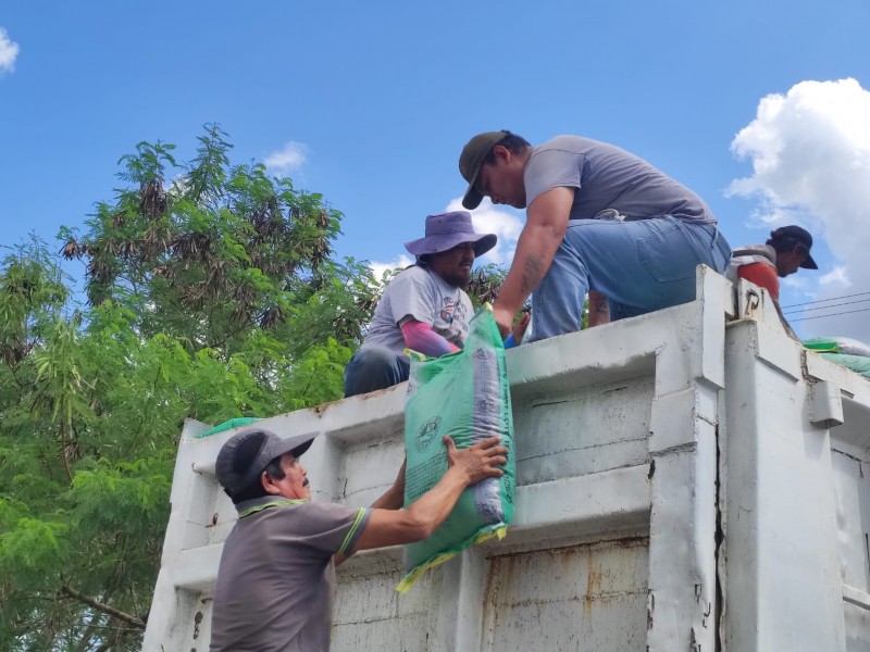 Dotan de semillas de frijol a sector agrícola de Tuxpan