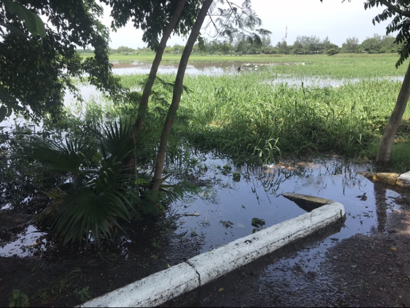 Dragarán Laguna lagartos la SEMAR, CONAGUA y Ayuntamiento municipal.