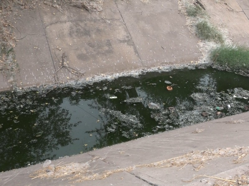 Dren de laguna lleno de basura; autoridad desconocía el caso