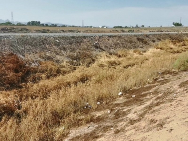 Dren Juárez en abandono