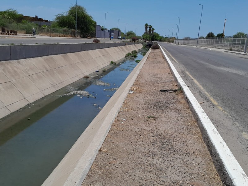 Dren Navojoa, foco de moscos, olores y preocupación vecinal