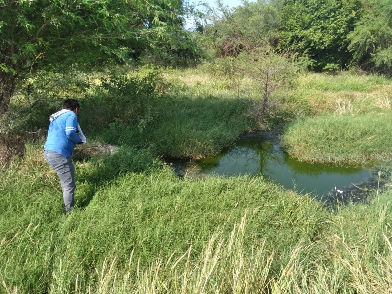 Drenaje colapsado afecta terrenos de cultivo en Tehuantepec