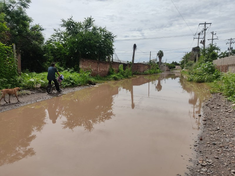 Drenaje colapsado afecta viviendas en la colonia Sinaloa en Guasave