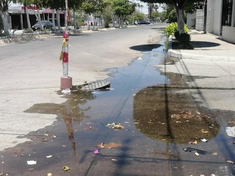 Drenajes colapsados en Infonavit Macapule afecta salud de vecinos