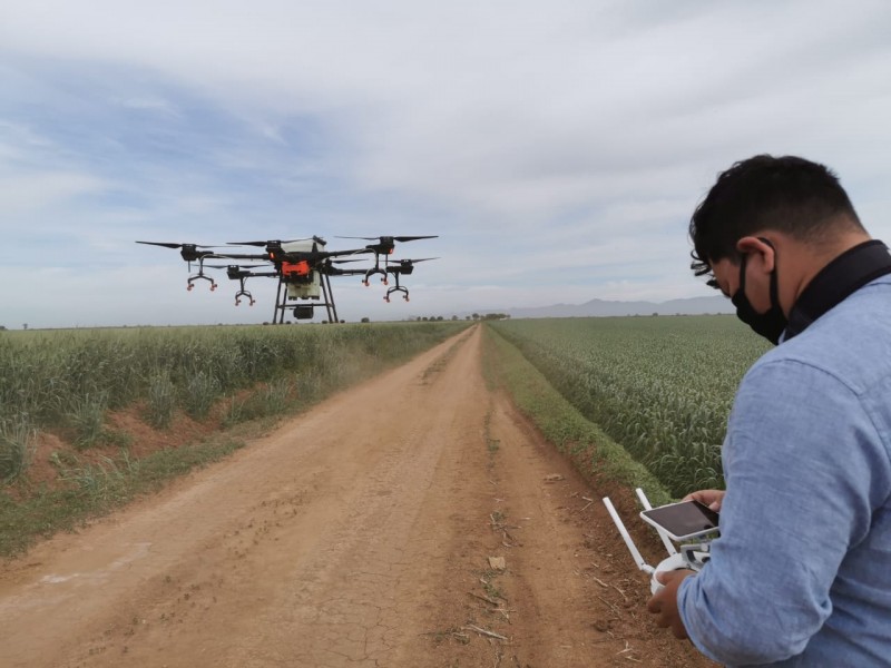 Drones, una tecnología en aplicación de agroinsumos en el campo