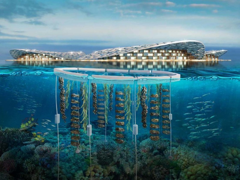 Dubái tendrá el arrecife artificial más grande del mundo