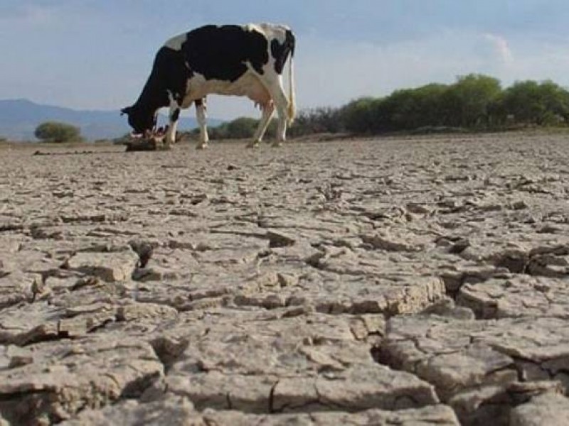 Durango cuenta con 36 municipios en sequía severa