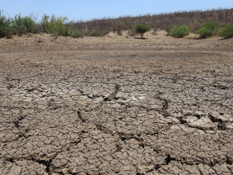 Durango en sequía extrema, analizan 