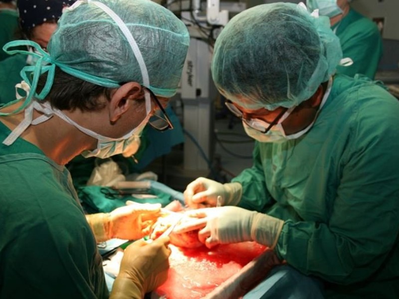 Durango logra aumento del 400% en donaciones de órganos y tejidos Durango logra aumento del 400% en donaciones de órganos y tejidos