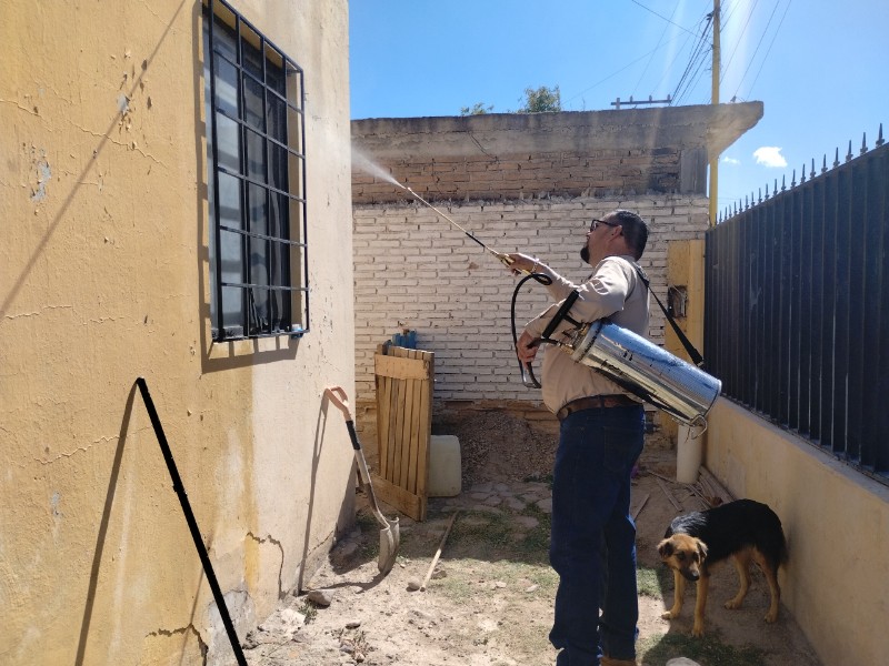 Durango registra 14 casos de dengue en lo que va de 2025 Durango registra 14 casos de dengue en lo que va de 2025