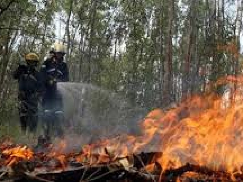 Durante 2023 Chiapas ha presentado 65 incendios forestales
