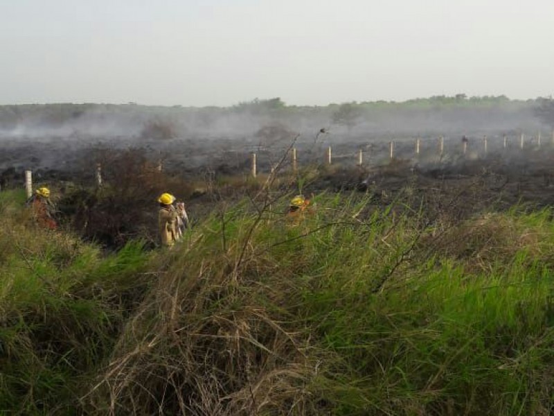 Durante el año, se registran 268 incendios de pastizales